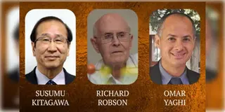 Read more about - Nobel Prize | ধাতব জৈব কাঠামো সংক্রান্ত গবেষণার জন্য রসায়নে নোবেল তিন দেশের তিন বিজ্ঞানীর