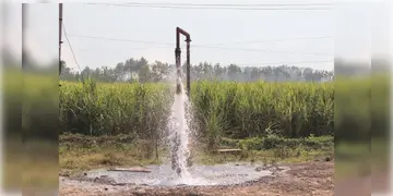 Read more about - Water Quality | আর্সেনিকের প্রভাবে সবচেয়ে বেশি পশ্চিমবঙ্গ ও বিহারে! চাঞ্চল্যকর রিপোর্ট পেশ করলো কেন্দ্র