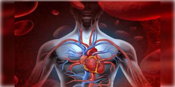 Read more about - Exercise Side Effects : কী কী ব্যায়ামে পুরুষদের হৃদ‌্‌রোগের ঝুঁকি বাড়ে। জানেন?