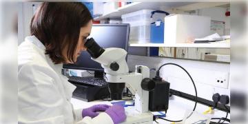 Read more about - Nanosensor | মাত্র ৩০ মিনিটেই কঠিন থেকে কঠিনতর রোগ ধরে ফেলবে বিশেষ ন্যানো সেনসর! কৃতিত্ব আইআইটি যোধপুরের পড়ুয়াদের!