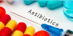 Read more about - Nafithromycin | Azithromycin থেকে ক্ষমতা আট গুণ বেশি! সম্পূর্ণ দেশীয় পদ্ধতিতে তৈরি নয়া অ্যান্টিবায়োটিকের ক্ষমতা জানলে হবেন অবাক