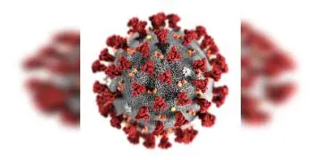 Read more about - সাবধান! করোনার মুক্তির পর ৩টি পরীক্ষা আবশ্যিক, বার্তা দিল রাজ্য স্বাস্থ্যদপ্তর