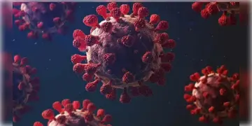 Read more about - গত দুদিনে তিন হাজারের নিচে রাজ্যের করোনা আক্রান্তের গ্রাফ, দৈনিক সংক্রমণের শীর্ষে রয়েছে উঃ ২৪ পরগনা