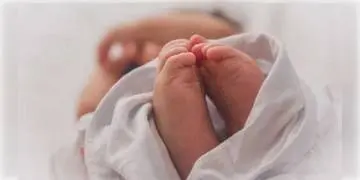 Read more about - আশঙ্কাজনক পর্ণশ্রীর শিশুকন্যা, ভেঙে গেছে খুলির হাড়।                   