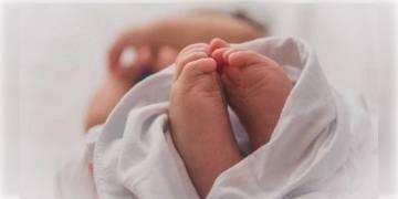 Read more about - আশঙ্কাজনক পর্ণশ্রীর শিশুকন্যা, ভেঙে গেছে খুলির হাড়।                   