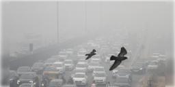 Read more about - Delhi | শীত পড়তেই ধোঁয়াশায় ঢেকেছে রাজধানী, ‘অতি খারাপ’ ক্যাটিগরিতে পৌঁছেছে বাতাস