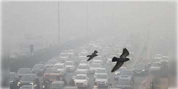 Read more about - Delhi | শীত পড়তেই ধোঁয়াশায় ঢেকেছে রাজধানী, ‘অতি খারাপ’ ক্যাটিগরিতে পৌঁছেছে বাতাস