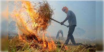 Read more about - Stubble Burning | জমিতে ফসলের গোড়া পোড়ালেই দিতে হবে মোটা অঙ্কের জরিমানা! বায়ু দূষণ রুখতে কড়া ব্যবস্থা কেন্দ্রের