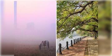 Read more about - Weather Update ।  শীত পড়ছে জাঁকিয়ে, একনজরে দেখে নিন মহানগরের আজকের আবহাওয়া আপডেট