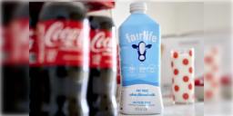 Read more about - Coca-Cola | সোডা থেকে প্রোটিন মিল্কে শিফট! দুধ বেঁচে বিলিয়ন ডলার কামাচ্ছে কোকা-কোলা