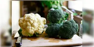 Read more about - ব্রকলি না ফুলকপি, কোনটা আপনার স্বাস্থ্যের জন্য উপকারী? কোনটা বেছে নেবেন?
