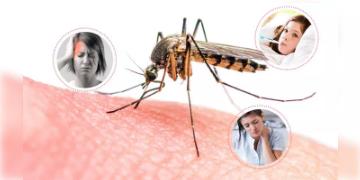 Read more about - Dengue in West Bengal is alarming: রাজ্যে উদ্বেগজনক ডেঙ্গি পরিস্থিতি