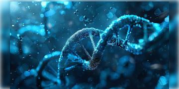 Read more about - New Sex-DeterminationSystems । সংকুচিত হচ্ছে 'ওয়াই' ক্রোমোজোম'! ভবিষ্যতে পৃথিবীতে জন্মাবে কেবল কন্যাসন্তানই! প্রকাশ্যে গবেষণাপত্র