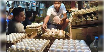 Read more about - Egg Price in India | যুদ্ধপরিস্থিতির জেরে হু হু করে কমছে ডিমের দাম, মাথায় হাত ব্যবসায়ীদের