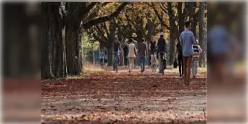 Read more about - সুস্থ থাকতে শীতকে জয় করে রোজ সকালে বেড়িয়ে পড়ুন মর্নিং ওয়াকে