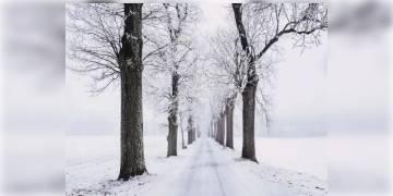 Read more about - শ্রীনগরে তাপমাত্রা নামল গত ৩০ বছরের সর্বনিম্ন মাইনাস ৮.৮ ডিগ্রিতে, তীব্র ঠান্ডায় কাঁপছে কাশ্মীর 