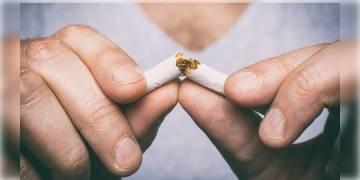 Read more about - কোন খাবার আপনাকে ধূমপান ছাড়তে সাহায্য করবে, চলুন জেনে নেওয়া যাক