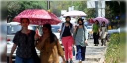 Read more about - Weather Update | তাপমাত্রার পারদ উর্দ্ধমুখী মহানগরে, একনজরে কলকাতার আজকের আবহাওয়া আপডেট