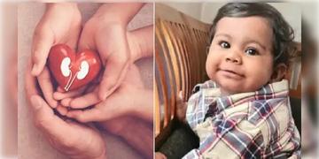 Read more about - Kerala | ৬ মাস বয়সে অঙ্গদান! কেরলের শিশুর জন্যে বাঁচলো ৫ প্রাণ, রাষ্ট্রীয় সম্মানের ঘোষণা সরকারের