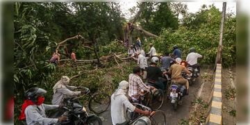 Read more about - Uttar Pradesh Rain | ঝড়ের দাপটে লণ্ডভণ্ড উত্তর প্রদেশ, ভেঙে পড়েছে ঘরবাড়ি-গাছ, মৃত অন্তত ৬০