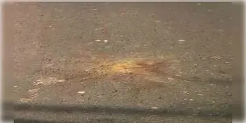 Read more about - বোমাবাজি, থমথমে পরিস্থিতি! নন্দীগ্রামের সোনাচূড়ায় মোতায়েন পুলিশ