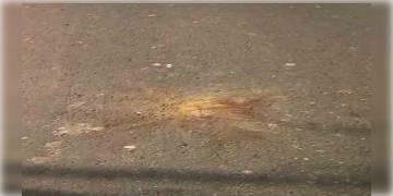 Read more about - বোমাবাজি, থমথমে পরিস্থিতি! নন্দীগ্রামের সোনাচূড়ায় মোতায়েন পুলিশ