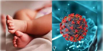 Read more about - HMPV | একজন নয়, HMPVতে আক্রান্ত ভারতের দুটি শিশু! কারোরই নেই বিদেশ ভ্রমণের ইতিহাস! কীভাবে শরীরে এলো চিনা ভাইরাস?