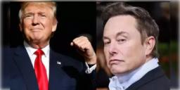 Read more about - Elon Musk-Donald Trump | ইলন মাস্ককে সাক্ষাৎকার দেবেন ডোনাল্ড ট্রাম্প? সোশ্যাল মাধ্যমে বড় খবর দিলেন বর্ষীয়ান রিপাবলিকান নেতা