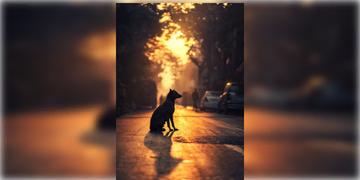 Read more about - Weather Update | শীতের ইনিংস শেষ, একনজরে দেখে নিন কলকাতার আজকের আবহাওয়া আপডেট