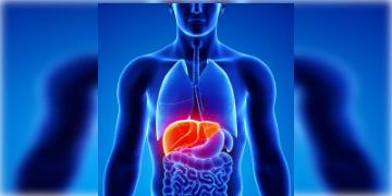 Read more about - লিভার সিরোসিস কীভাবে আপনার যকৃতে বাসা বাঁধে তা জেনে নিন