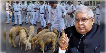 Read more about - রাজভবনে ভেড়ার পাল নিয়ে বিক্ষোভ - বিকেল ৫টার মধ্যে রিপোর্ট তলব রাজ্যপালের