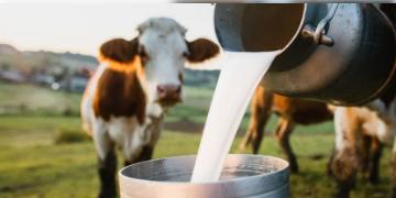 Read more about - Bird Flu | আমেরিকার পর ভারতেও দুধে মিলল বার্ড ফ্লু ভাইরাসের H5N1 স্ট্রেইনের হদিশ! খাওয়া-দাওয়া নিয়ে সতর্ক করলো হু!