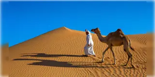 Read more about - Saudi Arabia | ৯৫ শতাংশ এলাকা বালির মরুভূমি হওয়া সত্ত্বেও কেন অন্য দেশ থেকে বালি আমদানি করে সৌদি আরব?