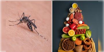 Read more about - Home Remedies for Dengue | ডেঙ্গু জ্বরে আক্রান্ত হয়ে বাড়িতে করছেন চিকিৎসা? ডায়েটে রাখুন এই খাবার! পুজোর আগেই হয়ে উঠবেন সুস্থ্য!