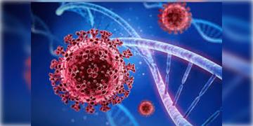 Read more about - Covid 19 | দেশ জুড়ে করোনার বাড়বাড়ন্ত! কীভাবে শরীরে আক্রমণ করছে করোনার নয়া স্ট্রেন?