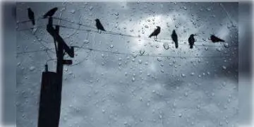 Read more about - রাজ্যে সপ্তাহান্তে রয়েছে বৃষ্টির সম্ভাবনা, ফের শীতের ইনিংস, জানাল আবহাওয়া দফতর 