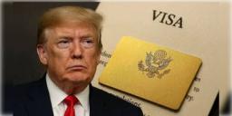 Read more about - US Visa | বিশ্ব জুড়ে ভিসার ইন্টারভিউ নেওয়া স্থগিত করল মার্কিন প্রশাসন! ট্রাম্প চালে বিপাকে পড়ুয়ারা