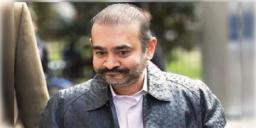 Read more about - Nirav Modi | এবার কি দেশে ফেরানো সম্ভব হবে ঋণখেলাপি নীরব মোদিকে? জোরালো হচ্ছে জল্পনা!