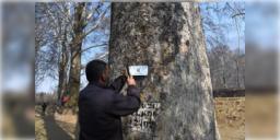 Read more about - Kashmir Chinar Tree | তৈরী হচ্ছে গাছের ডিজিটাল আধার কার্ড! চিনার বৃক্ষ বাঁচাতে উদ্যোগী কাশ্মীর