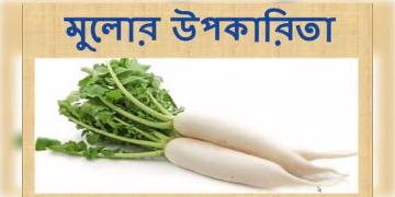 Read more about - মুলোর খাদ্যগুণ ও উপকারিতা, Food value and benefits of radish in bengali language