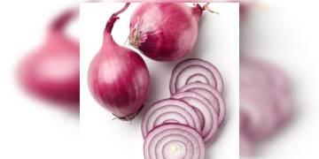 Read more about - পেঁয়াজের সাথে সত্যিই কি কোনো সম্পর্ক আছে ব্ল্যাক ফাঙ্গাসের? কি বলছেন বিশেষজ্ঞরা?