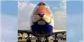 Read more about - বিগত ৭০ বছরের খরা কাটিয়ে দেশে আগমন চিতার, স্বাগত জানাতে নামবিয়ায় পাঠানো হল বিশেষ বিমান