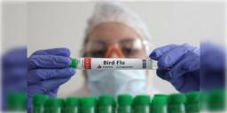Read more about - Bird Flu Vaccine | বিশ্বে প্রথম বার্ড ফ্লুয়ের হিউম্যান ভ্যাকসিন দেবে ফিনল্যান্ড! ১৫টি দেশের জন্য  তৈরী হয়েছে ৪ কোটি ডোজ় প্রতিষেধক!