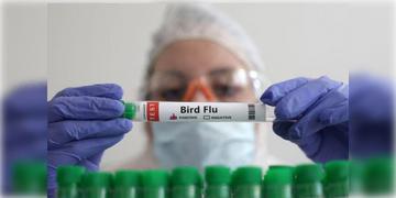 Read more about - Bird Flu Vaccine | বিশ্বে প্রথম বার্ড ফ্লুয়ের হিউম্যান ভ্যাকসিন দেবে ফিনল্যান্ড! ১৫টি দেশের জন্য  তৈরী হয়েছে ৪ কোটি ডোজ় প্রতিষেধক!
