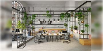 Read more about - Office Plants | কাজের স্ট্রেস কমাতে আজই আপনার অফিসে লাগান ইনডোর প্ল্যান্ট!