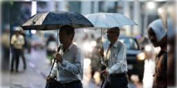 Read more about - Weather Update | সপ্তাহান্তে কিছুটা স্বস্তি, আজ থেকে রবিবার পর্যন্ত বজ্রবিদ্যুৎ-সহ বৃষ্টির সম্ভাবনা কলকাতা-সহ একাধিক জেলায়!