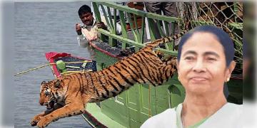 Read more about - WB CM: ম্যানগ্রোভে ‘কোপ’, মুখ্যমন্ত্রী আনুষ্ঠানিকভাবে দুটি নতুন জেলার ঘোষণা করতে চলেছেন