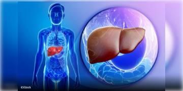 Read more about - ফ্যাটি লিভার থেকে রক্ষা পাওয়ার ঘরোয়া টোটকা হল তেঁতুল, উপকার পাবেন কিভাবে? আসুন জানা যাক..