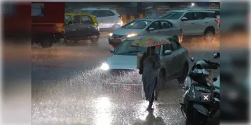 Read more about - দক্ষিণবঙ্গের ফের কয়েকটি জেলাগুলিতে ভারী বৃষ্টির সম্ভাবনা রয়েছে, মৎস্যজীবীদের তীরে ফেরার পরামর্শ