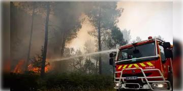 Read more about - তীব্র দাবদাহে পুড়ছে হাজার হাজার একর জঙ্গল, দাবানলের গ্রাসে ইউরোপ এবং আফ্রিকার নানা দেশের জঙ্গল